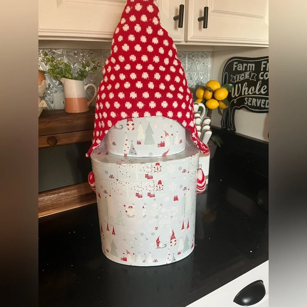 Large‎ winter gnome container